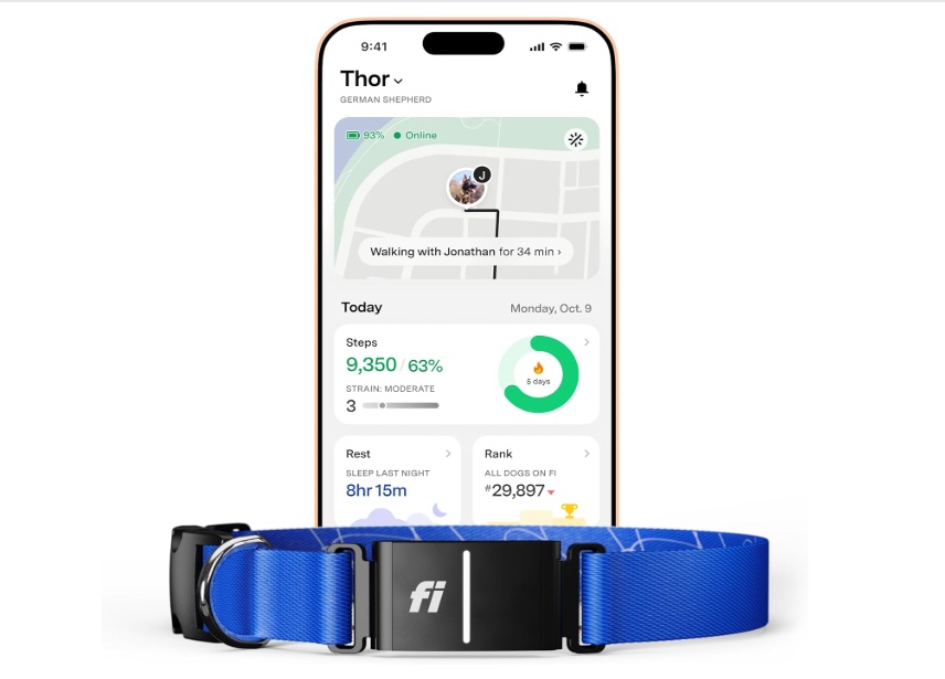 Fi AI tracker for dogs 
