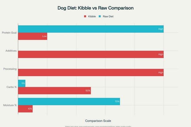 Kibble vs raw food for dogs