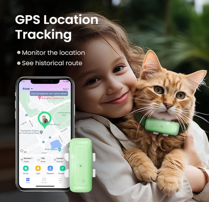 seeworld AI cat tracker