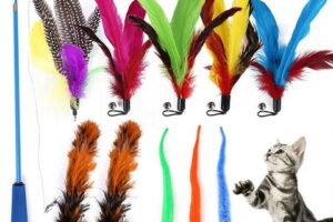 cat toys for indoor cat boredom