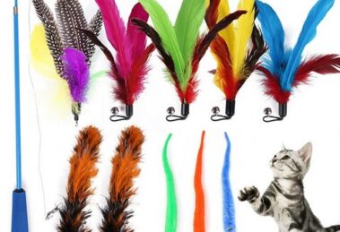 cat toys for indoor cat boredom