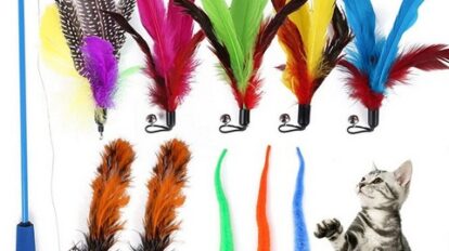 cat toys for indoor cat boredom